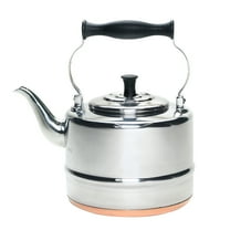 BonJour(r) Tea Stainless Steel and Copper-Base Gooseneck Teapot / Teakettle, 2-Quart