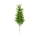 thumbnail image 2 of Tallos artificiales de eucalipto y plantas acuáticas para decoración del hogar | Arreglo floral con follaje artificial para jarrón, 2 of 7