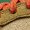 SESAME/BRONZINE/PICANTE RED, variant on NIKE WOMENS DUNK LOW Womens "Bronzine Picante Red" FQ8897 252 FQ8897 252 from Stadium Goods