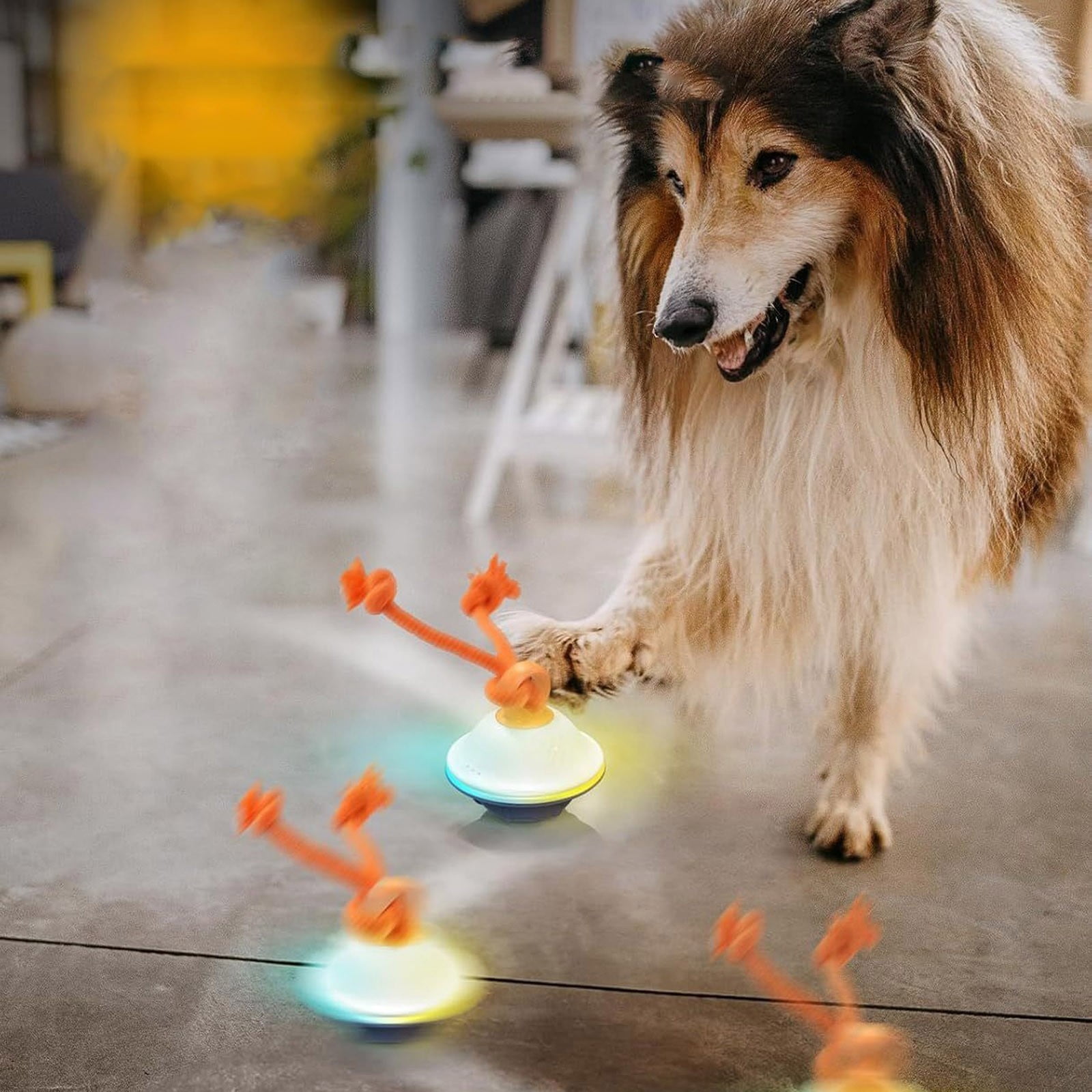Automatic Interactive Smart LED Cat Toy For Indoor Exercise And Play With Voice Function