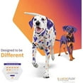 thumbnail image 3 of MOVOFLEX Dog Hip & Joint Support for Dogs | Veterinarian Formulated Dog Joint Supplement | One Chew A Day, Give as Dog Treat or in Dog Food - Gluten Free 1 Pack (60 count) Small, 3 of 4