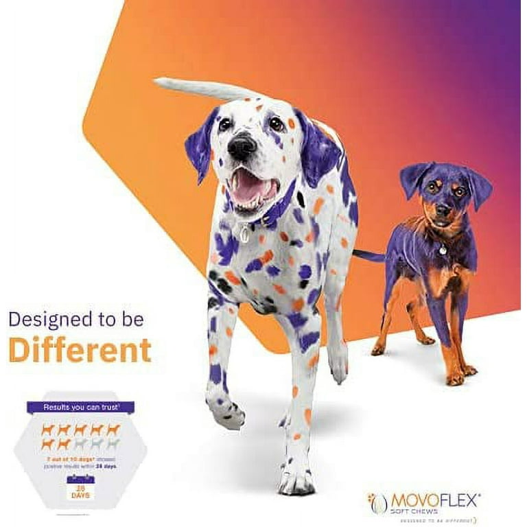 MOVOFLEX Dog Hip Joint Support for Dogs Veterinarian Formulated Dog Joint Supplement One Chew A Day Give as Dog Treat or in Dog Food Gluten