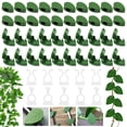 thumbnail image 4 of Clips autoadhesivos para plantas trepadoras, 30 verdes + 10 blancos, soportes de pared, perfectos para sujetar plantas, paquete de 40, 4 of 7