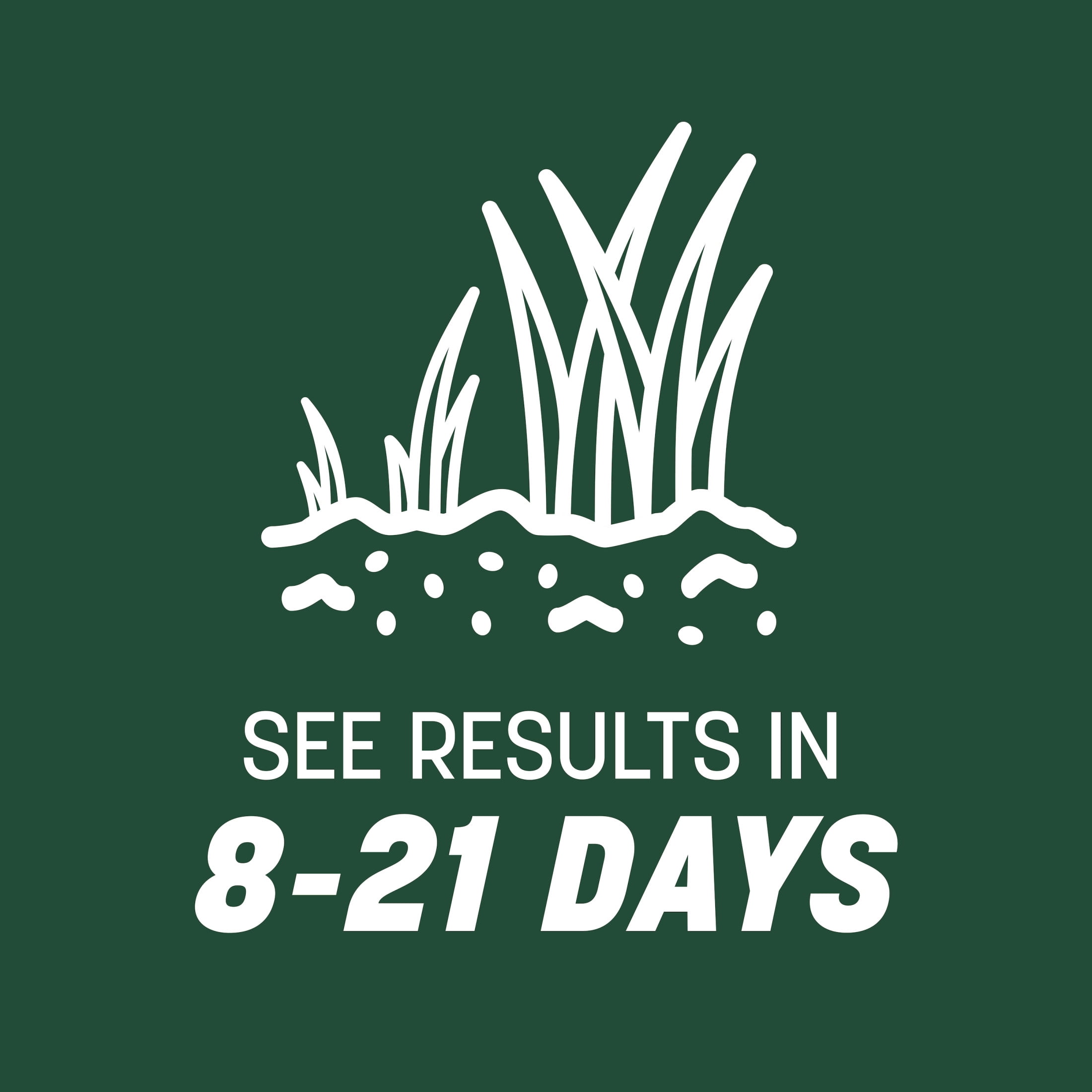Pennington Tall Fescue Kentucky No Noxious Weed Seed 50 Pounds