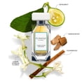 thumbnail image 3 of Perfume PINROSE Tambourine Dreamer Eau de Parfum para mujer 50 ml, 3 of 5