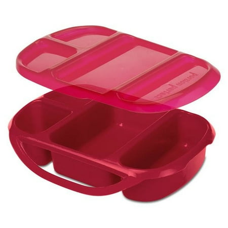 Smart Planet Portion Perfect Meal Kit, Square, Green