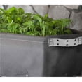 thumbnail image 4 of BloemBagz Raised Bed Planter Grow Bag 12 Gallons Calypso, 4 of 5