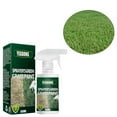Grass and Shrub Renew Spray Paint Lawn Paint Spray on Grass Green Lawn