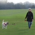 thumbnail image 4 of GHSDFBB Plutus Pet Rope Dog Leash 6ft Long,Traffic Padded Two Handle,Heavy Duty,Reflective Double Handles Lead for Control Safety Training,Leashes for Large Dogs or Medium Dogs,Dual Handles Lead, 4 of 6