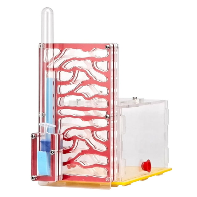 jinwen Nid de Fourmi Cage en Acrylique pour Observation Scientifique Maison Journée des Enfants Rouge