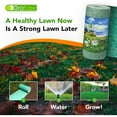 Grotrax Biodegradable Grass Seed Mat 100 sqft Year Round Green
