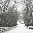 thumbnail image 2 of Bell, Nicholas 20x20 White Modern Wood Framed Museum Art Print Titled - Country Lane in Winter, 2 of 4