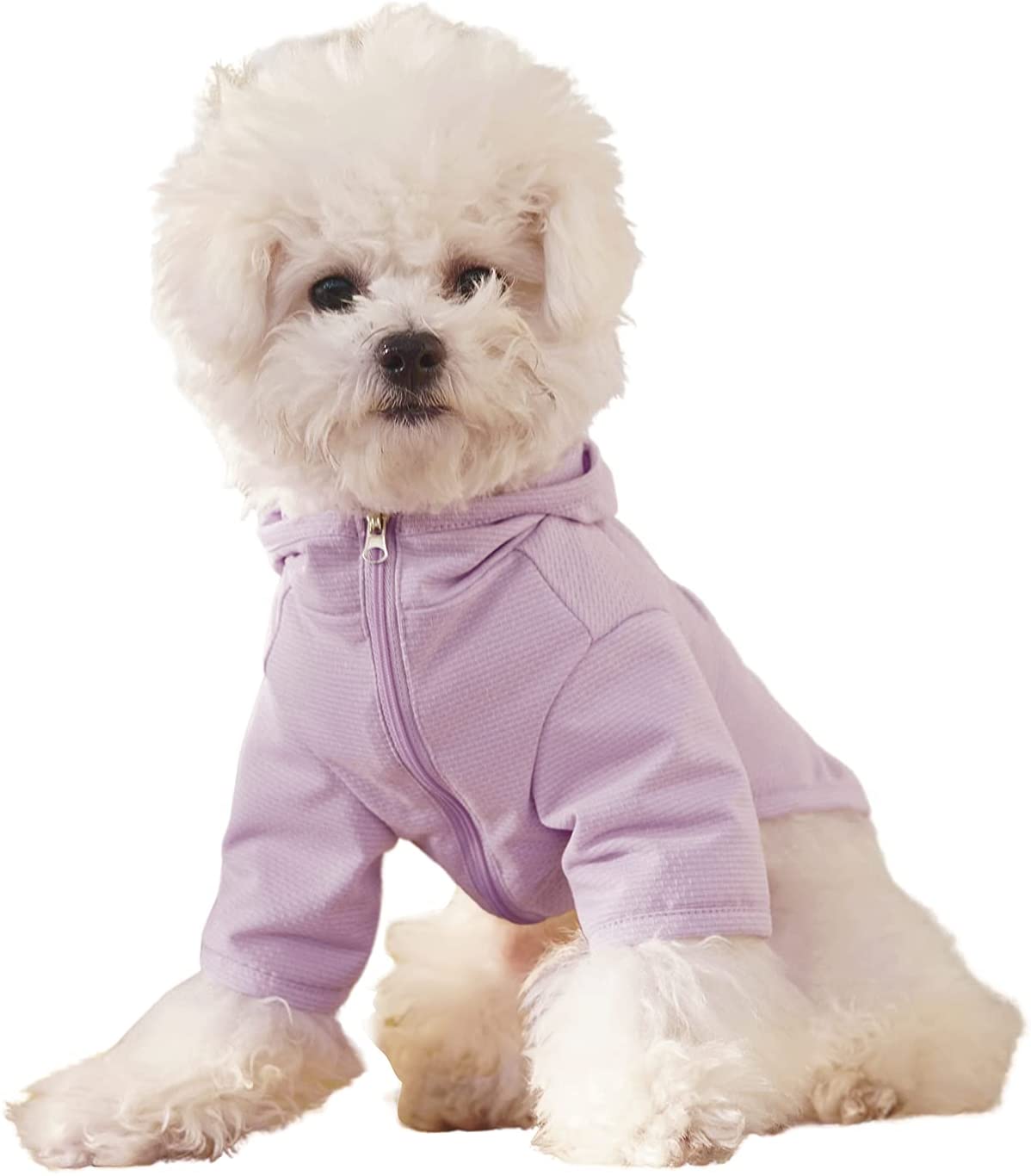 sun protection shirt for dogs