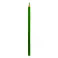 thumbnail image 1 of Polychromos Artist Colored Pencils (Each) light green, 171 (pack of 12), 1 of 1