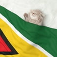 thumbnail image 7 of Guyana Flag Dog Blanket Soft Warm Flannel Cat Blanket Great Pet Throw for Cats Puppy Small Medium Large Dog, 7 of 7