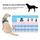 thumbnail image 5 of Pecheras Para Perros Con Correa Y Cinturón De Seguridad, 5 of 8