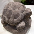 thumbnail image 3 of Urban Trends Collection 28363 Terracotta Hollow Turtle Figurine Facing Upright on BaseWashed, Dark Gray - Large, 3 of 6