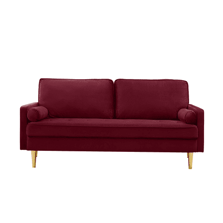 JERFIT Modern 65" Velvet Loveseat Sofa with Gold Metal Legs & Cushions for Living Room, Bedroom, Apartment
