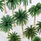 thumbnail image 4 of unbranded 25Ud Detallados De Árboles Cocos Para Paisajismo En De Arena Verde, 4 of 8