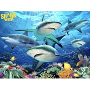 Discovery Channel Shark Week - Shark Reef - 3D Lenticular Puzzle - 100 Pieces