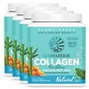 Sunwarrior - Vegan Collagen Building Protein Peptides with Hyaluronic Acid & Biotin - Natural - (4 Pack)