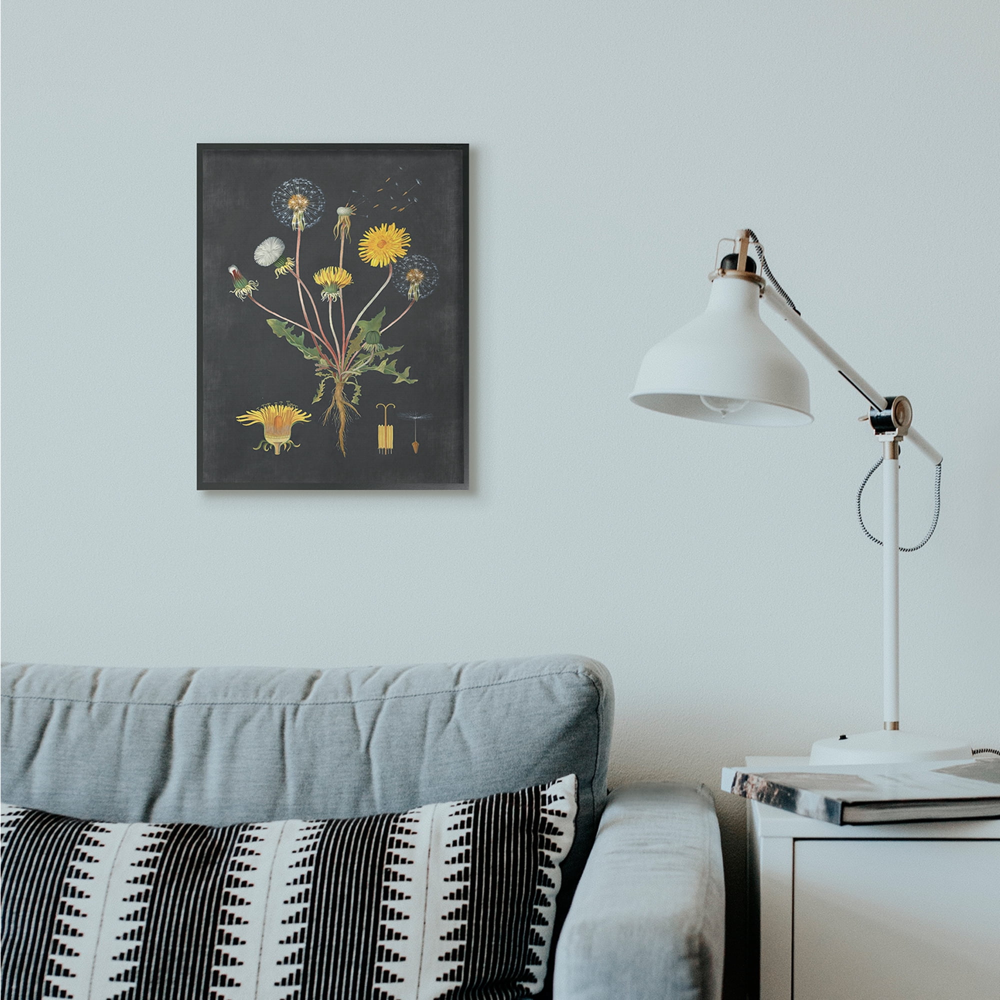 Stupell Industries Botanical Drawing Dandelion On Black Design Framed Wall Art by Lettered and Lined