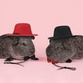 thumbnail image 6 of Small Animal Pet Hats & Bow Ties Suit, Pet Clothes Outfits Costumes for Guinea Pig Cat Kitten Rabbit Bunny Ferret Hamster Chinchilla Hedgehog Reptile Lizard Bearded Dragon, 6 of 7