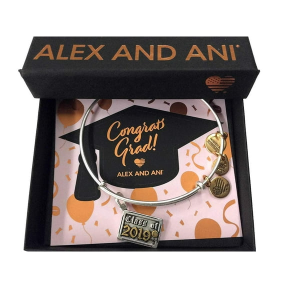 Alex and Ani Carpe Diem Bangle Bracelet Rafaelian Silver NWTBC