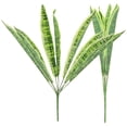 thumbnail image 1 of 2 plantas de serpiente artificiales, sansevieria falsa, plantas artificiales en maceta para interior y exterior., 1 of 6