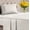 Rainbow Stripe, variant on CGK Linens 4-Piece Ultra Soft & Comfy Hotel Luxury Sheet Set - Full Size Cooling Bed Sheet Fits 8"-16" Mattresses, White