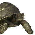 thumbnail image 6 of Marine Reptile Lifelike Galapagos Tortoise Taxidermy Replica Figurine 8"L, 6 of 9