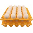 thumbnail image 4 of 48 RITE FARM PRODUCTS 20 EGG PLASTIC TRAYS FOR DUCK GOOSE TURKEY PEAFOWL CARTON, 4 of 5