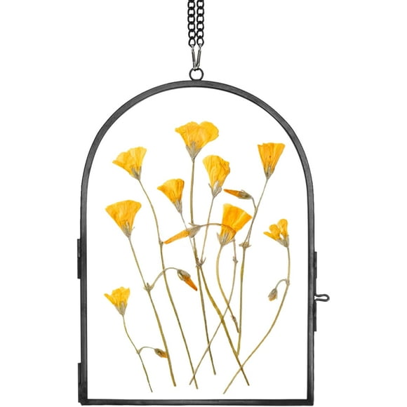 shiyou-Glass Pressed Flower Frame Handmade, Glass Frame For Pressed Flowers, Wall Hanging Floating Frame, Unique Double Glass Picture Frame for Dried Flowers Poster Home Decor, ArcShapedBlack
