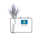 thumbnail image 1 of de Dakota del Sur Tarjeta de jarrón de lavanda artificial, 1 of 3