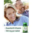B6 Vitamin 100mg 100 Tablets Vegetarian, NonGMO & Gluten Free