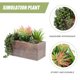 thumbnail image 4 of Simulación de planta suculenta en maceta, decoración de sala de estar, plantas falsas, bonsái artificial de plástico, 4 of 6