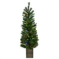thumbnail image 3 of Celebrations 4 ft. Pencil LED 50 ct Potted Tree Christmas Tree, 3 of 3