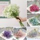 thumbnail image 3 of EchoBliss 1 Pieza Artificial Falsa Seda Gypsophila Flor Boda Ramo Decoración Del Hogar, 3 of 6
