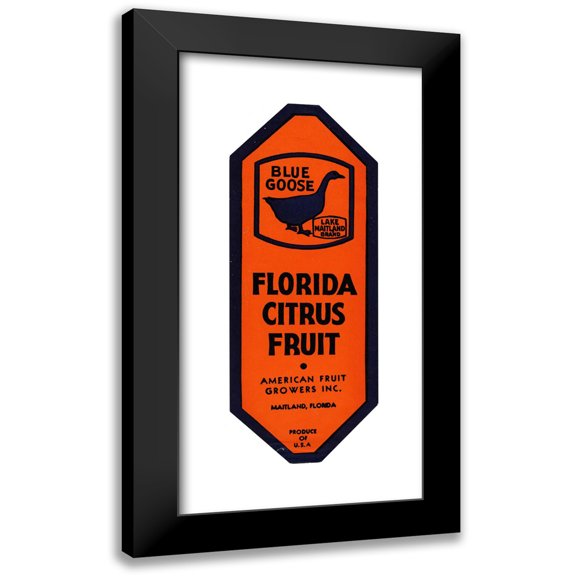 Anonymous 8x14 Black Modern Framed Museum Art Print Titled - Blue Goose Florida Citrus Fruit Label (1930s)