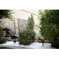 thumbnail image 4 of Piedra White Polished Pebble 12 In. X -12 In. 40Lb Bag, 4 of 4
