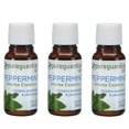 thumbnail image 1 of PureGuardian® 3-Pack 1 oz. Peppermint Aroma Essence Oil, 1 of 1