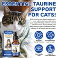 thumbnail image 3 of Worafy Taurine Drops for Cats, Liquid Taurine Supplement for Heart Health, Vision Support, Immune Function, Energy & Vitality 2 fl oz, 3 of 11