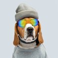 thumbnail image 4 of Gafas Para Perros, A Prueba De Rayos UV, Gafas De Sol Elegantes Y Frescas Para Cachorros, Gafas Protectoras Para Ojos De Perro Con Correa Ajustable, 4 of 7