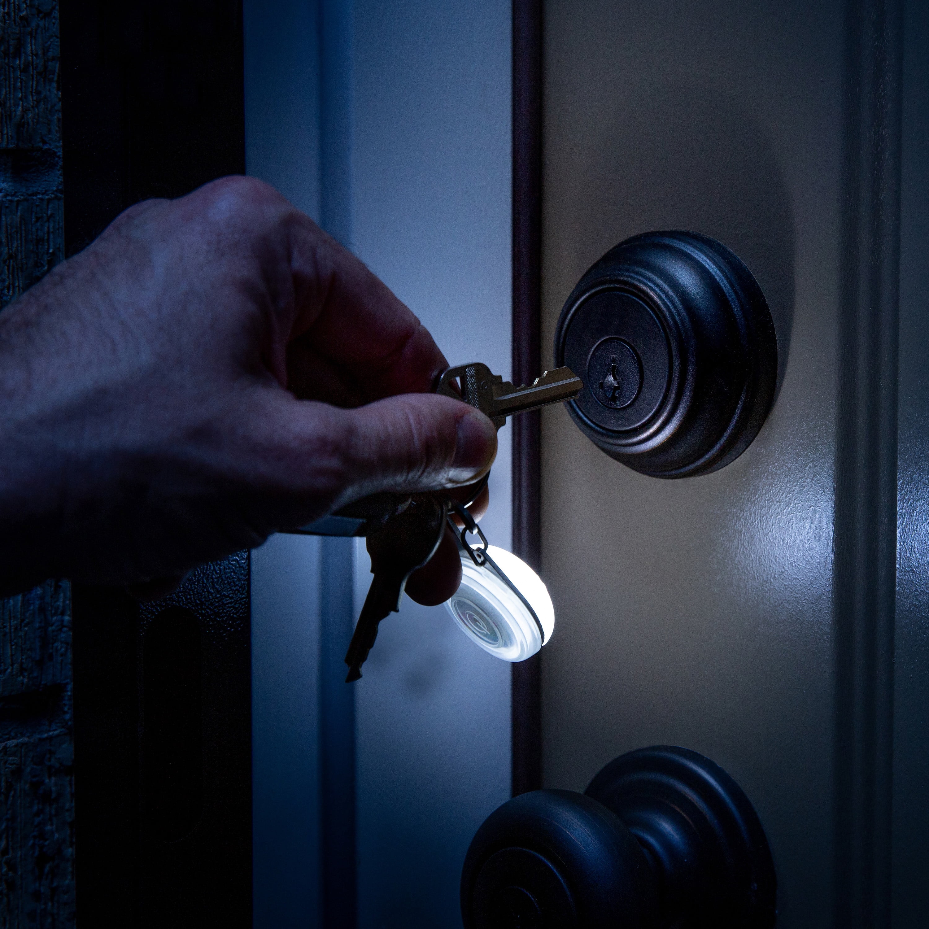Nite Ize SpotLit LED Carabiner Keychain Light