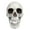 As Show#03, variant on Nilvkv Halloween Skeletons Plastic Realistic Fake Simulation Human Skull Headbone Model Halloween Prop Realistic Mini Skeleton Spooky Halloween Decoration