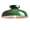 Green, variant on Claxy 12" Black Flush Mount Ceiling Light with Dome Metal Shade