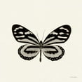 thumbnail image 2 of Van Swearingen, Debra 26x26 White Modern Wood Framed Museum Art Print Titled - Butterfly VIII BW Crop, 2 of 4