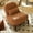 Caramel, variant on S-HOME Velvet Accent Chair with Solid Wood Legs, Comfy Armless Design Ideal for Living Room and Cozy Bedroom Decor
