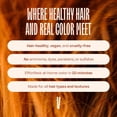 thumbnail image 5 of oVertone Daily Color Depositing Conditioner 4.5oz Temporary Hair Dye Conditioner with Shea Butter & Coconut Oil, Moisturizing Vegan & Cruelty-Free for All Hair Types & Color-Treated Hair, Ginger Glow, 5 of 8
