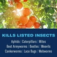 thumbnail image 3 of BioAdvanced Fruit & Vegetable 3n1 Solution 32oz Concentrate, Kills Listed Insects: Aphids, Caterpillars, Mites, Beet Armyworms, Beetles and More! Controls; Black Spot, Powdery Mildew, Rust and More!, 3 of 7